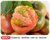 正宗丹东铁皮柿子  草莓西红柿盘锦碱脆柿子新鲜水果番茄(2.5kg(5斤一箱）)第4张高清大图