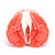 精选天宝蜜柚 鸳鸯柚子2粒 1红1白 2.5-3KG 孕妇水果 新鲜包邮第2张高清大图