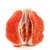 【罗花岭-产地直销】正宗福建平和琯溪蜜柚 红心柚子约5斤（2个装）(绿色食品 水果)第3张高清大图