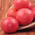 杞农云商 普罗旺斯沙瓤西红柿农家自种大番茄2.5公斤装第2张高清大图