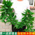 仿真藤条绿萝叶装饰假树叶绿藤藤蔓塑料暖气水管道遮挡空调缠绕花(塑胶大叶99片绿萝藤一包（5条）)第3张高清大图