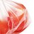 宜洁 食品家用保鲜袋一次性点断式大中小号新疆西藏青海 港澳台海外不发货(小号17cmx25cm220只)第5张高清大图