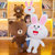 布朗熊可妮兔公仔 抱枕卡通兔子毛绒玩具特大抱熊布娃娃 抓机娃娃(棕色 高50cm)第3张高清大图