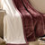 南极人 贝贝绒毯子毛毯 空调毯午睡毯 四季毯子 酒红 双层加厚(酒红)第2张高清大图