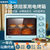 美的电烤箱家用大容量多功能25L上下独立温控烘烤蛋糕烤箱PT2531(PT2531)第4张高清大图