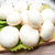 顺丰免邮 新鲜双孢菇口蘑食用菌煲汤烧烤天然绿色蔬菜白蘑菇(重量)第6张高清大图