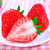 甘福园丹东牛奶草莓(大果)第5张高清大图