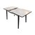 恒信家居 现代简约小户型一桌四椅 可伸缩餐桌ZYX-B31-CT 餐桌椅(一桌四椅)第4张高清大图