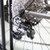 MARMOT土拨鼠变速自行车男女式单车山地自行车22速钛合金山地车(白红男女式 标准版)第4张高清大图