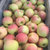 山西红富士苹果水果当季新鲜一整箱脆甜多汁(3斤装70-75mm)第5张高清大图