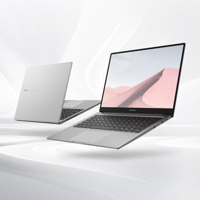 小米(MI)RedmiBook 14 增强版 英特尔第十代处理器 全金属超轻薄笔记本电脑(【新一代MX250 2G独显】 【新品上市】i7-10510U 8G 512G SSD)