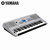雅马哈Yamaha KB-290 专业考级力度键61键成人电子琴 KB280升级款第5张高清大图