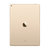 苹果（Apple）iPad Pro 12.9英寸平板电脑 256GB(金色 WLAN版)第2张高清大图