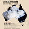 第2张高清大图